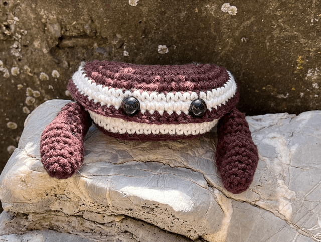 Pancake crabe 