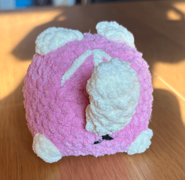 Petit chat spéciale