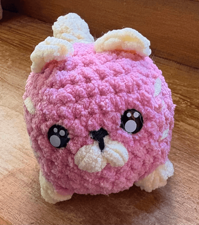 Petit chat spéciale