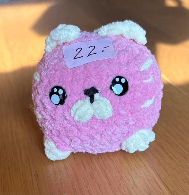 Petit chat spéciale